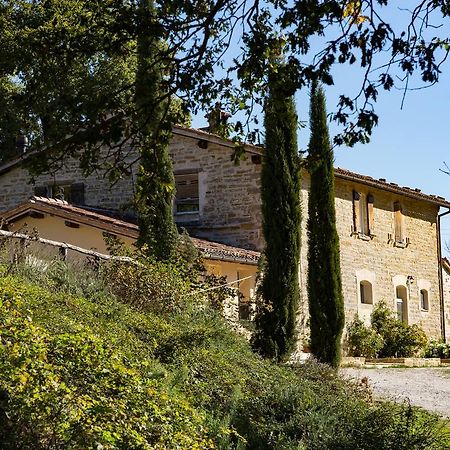 Agriturismo L'Oca Blu Ξενοδοχείο Γκούμπιο Εξωτερικό φωτογραφία