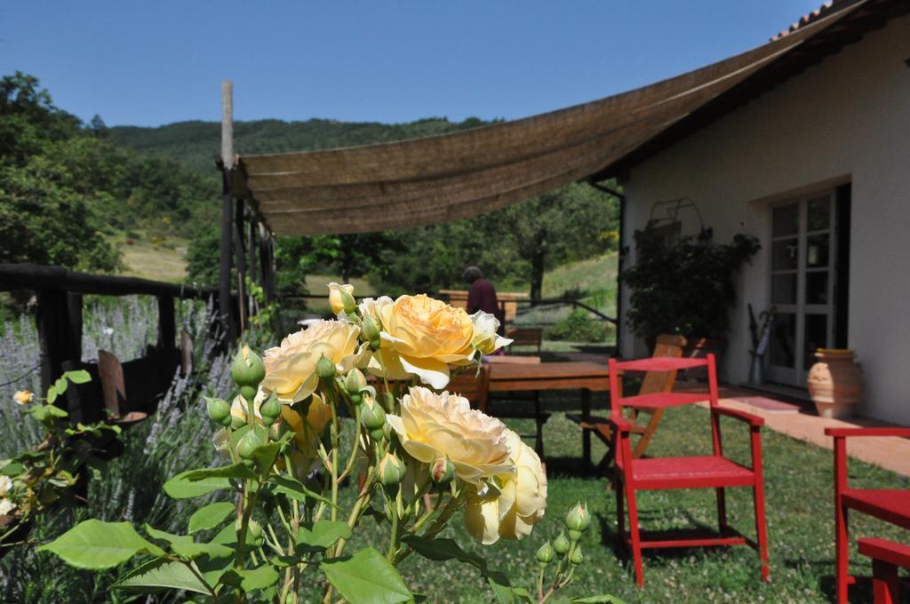 Agriturismo L'Oca Blu Ξενοδοχείο Γκούμπιο Εξωτερικό φωτογραφία