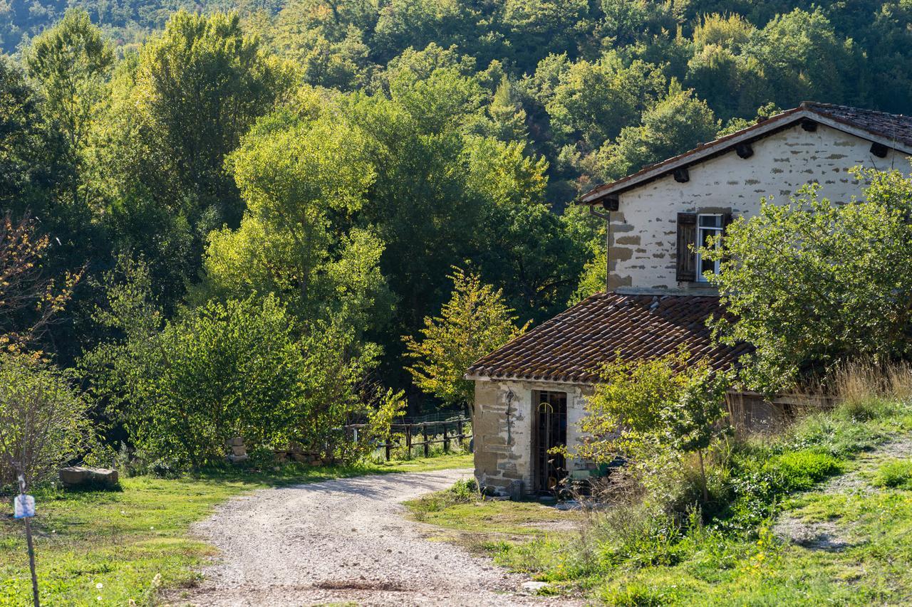 Agriturismo L'Oca Blu Ξενοδοχείο Γκούμπιο Εξωτερικό φωτογραφία